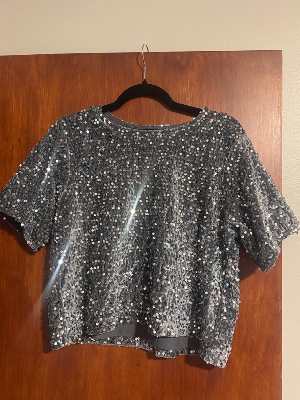 Steve Madden Silver Sequin Crop Top